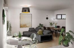 Case insiruite, 4 camere, 100 mp, in Colonie Bod