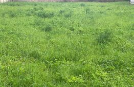 Teren intravilan , 700 mp , front 17 mp , Luna de Sus