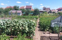 Casa Individuala 69mp, in zona Bulgaria