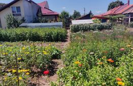 Casa Individuala 69mp, in zona Bulgaria