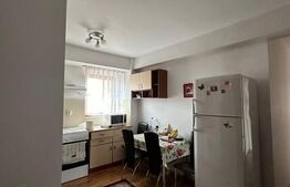 Apartament 2 camere , zona Iulius Mall 