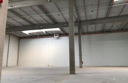 Hala 1500 de mp, clasa A, in Apahida cu acces facil, aproape de aeroport. 