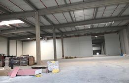 Hala 1500 de mp, clasa A, in Apahida cu acces facil, aproape de aeroport. 