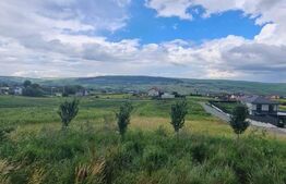 Casa la rosu, 800 mp de teren etravilan, zona Valea Fanatelor