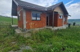 Casa la rosu, 800 mp de teren etravilan, zona Valea Fanatelor