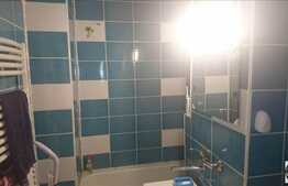 De vanzare apartament 2 camere, 42 mp,etaj intermediar, zona strazii Vanatorului