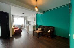 Apartament 2 camere, 60 mp, parcare, petfriendly, zona Somesului 