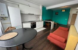 Apartament 2 camere, 60 mp, parcare, petfriendly, zona Somesului 
