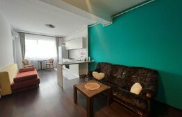 Apartament 2 camere, 60 mp, parcare, petfriendly, zona Somesului 
