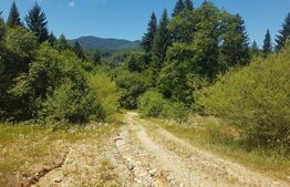 Teren de vânzare Bran - 170081TV | BLITZ Brașov | Poza2