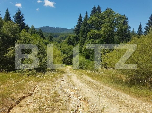 Teren de vânzare Sud-Est - 154831TV | BLITZ Brașov | Poza1