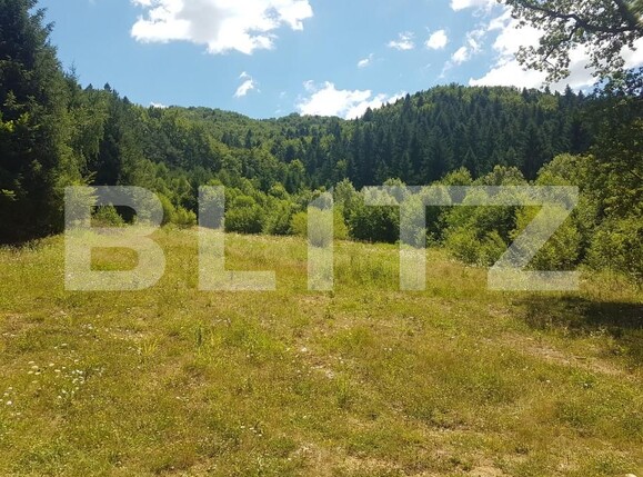 Teren de vânzare Sud-Est - 154831TV | BLITZ Brașov | Poza3