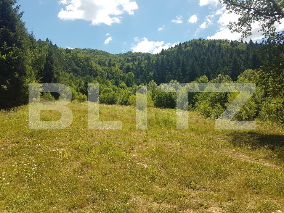 Teren de vânzare Sud-Est - 154831TV | BLITZ Brașov | Poza3
