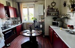 Apartament de 2 camere, 48 mp, etaj intermediar, zona Horea