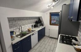 Apartament 2 camere, 55 mp, in vila, zona Auchan Iris 