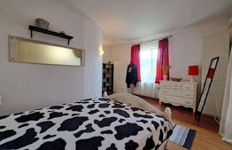 Apartament Intim și cochet la casă cu terasă și curte