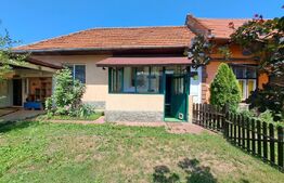 Apartament Intim și cochet la casă cu terasă și curte