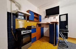 Apartament Intim și cochet la casă cu terasă și curte