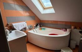 Apartament 3 camere, modern, 90 mp, parcare, zona Muzeul Apei 