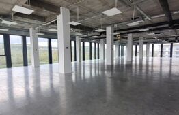 Spațiu birouri de închiriat Central - 157373SIB | BLITZ Cluj-Napoca | Poza4