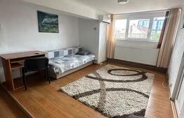 Oportunitate! Apartament 1 camera, pod, zona Dorobanti