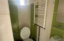 Oportunitate! Apartament 1 camera, pod, zona Dorobanti