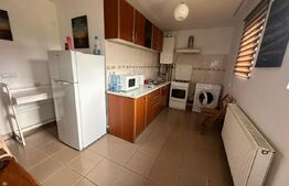 Oportunitate! Apartament 1 camera, pod, zona Dorobanti