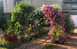 Casa in Sanpetru - placuta cu gradina cocheta