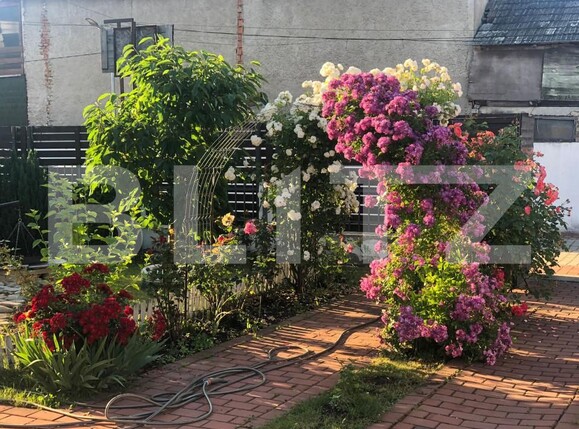 Casa de vânzare 4 camere Sanpetru - 154964CV | BLITZ Brașov | Poza12