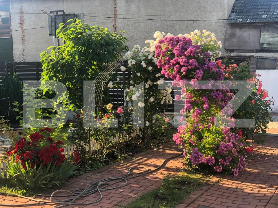 Casa de vânzare 4 camere Sanpetru - 154964CV | BLITZ Brașov | Poza12