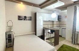 Apartament cu 1 camera, 30 mp utili, mobilat modern, zona Piata Unirii!