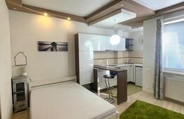 Apartament cu 1 camera, 30 mp utili, mobilat modern, zona Piata Unirii!