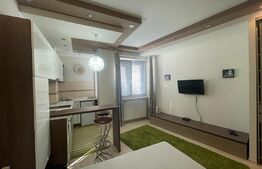 Apartament cu 1 camera, 30 mp utili, mobilat modern, zona Piata Unirii!