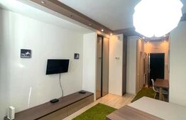 Apartament cu 1 camera, 30 mp utili, mobilat modern, zona Piata Unirii!