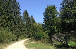 Teren pentru turism montan - 8500mp - Sinca - Valea Strambei