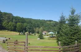 Teren pentru turism montan - 8500mp - Sinca - Valea Strambei