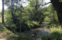 Teren pentru turism montan - 8500mp - Sinca - Valea Strambei