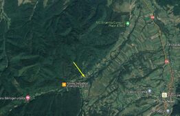 Teren pentru turism montan - 8500mp - Sinca - Valea Strambei