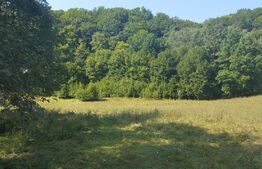 Teren pentru turism montan - 8500mp - Sinca - Valea Strambei