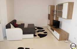 2 camere, 45 mp , mobilat modern, imobil nou, zona Calea Turzii