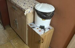 De vanzare camera de camin