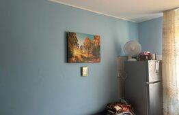 De vanzare camera de camin