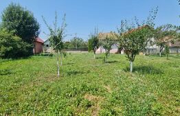 Casa individuala 82 mp cu teren de 1080