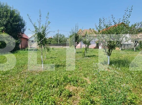 Casa de vânzare 2 camere Exterior Est - 155127CV | BLITZ Cluj-Napoca | Poza5