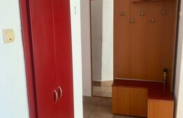Apartament 2 camere, 50 mp, Pet friendly