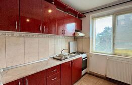 Apartament 2 camere, 50 mp, Pet friendly
