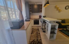 Apartament modern de 2 camere de închiriat la Subcetate Residence