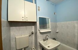 Garsoniera in bloc mixt, 28,5 mp utili, zona Nora-Manastur