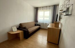 Garsoniera in bloc mixt, 28,5 mp utili, zona Nora-Manastur