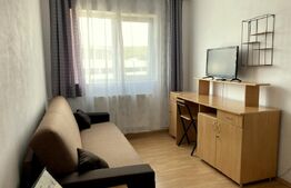 Garsoniera in bloc mixt, 28,5 mp utili, zona Nora-Manastur